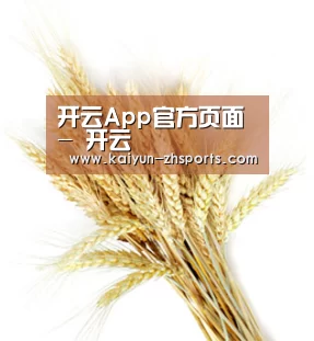 开云App官方页面 - 开云