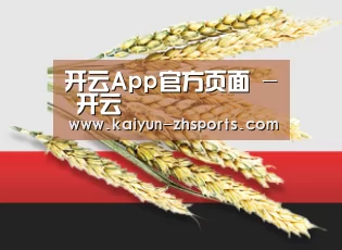 开云App官方页面 - 开云