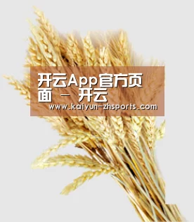 开云App官方页面 - 开云