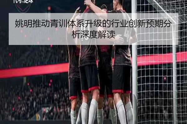 姚明推动青训体系升级的行业创新预期分析深度解读